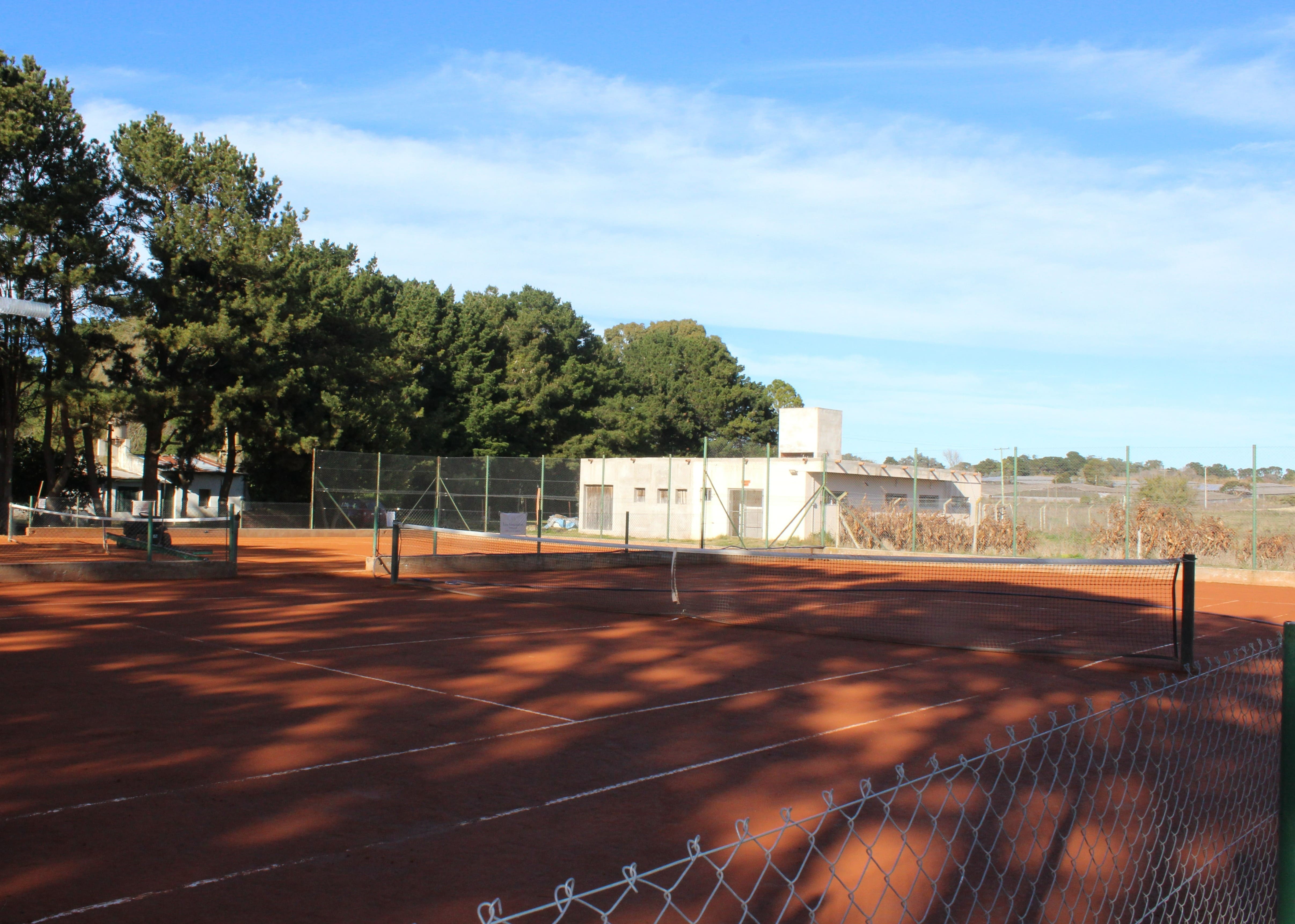 Clases de Tenis en Los Almendros